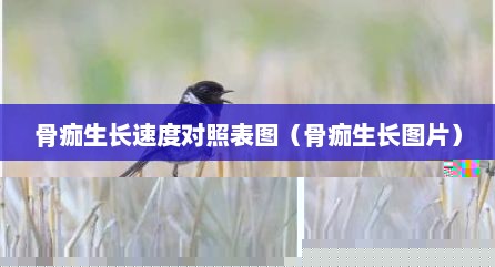 骨痂生长速度对照表图（骨痂生长图片）