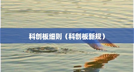 科创板细则（科创板新规）