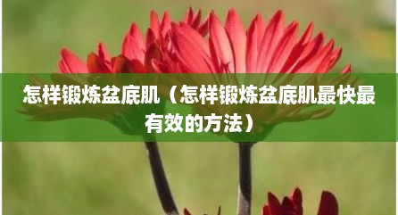 怎样锻炼盆底肌（怎样锻炼盆底肌最快最有效的方法）