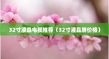 32寸液晶电视推荐（32寸液晶屏价格）