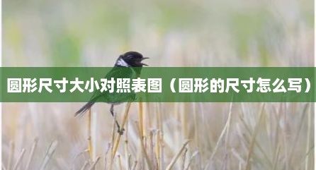 圆形尺寸大小对照表图（圆形的尺寸怎么写）