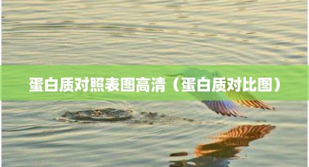 蛋白质对照表图高清（蛋白质对比图）