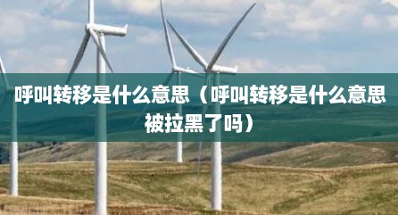 呼叫转移是什么意思（呼叫转移是什么意思被拉黑了吗）