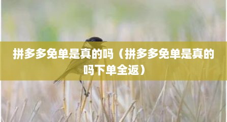 拼多多免单是真的吗（拼多多免单是真的吗下单全返）