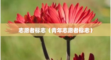 志愿者标志（青年志愿者标志）