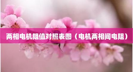 两相电机阻值对照表图（电机两相间电阻）