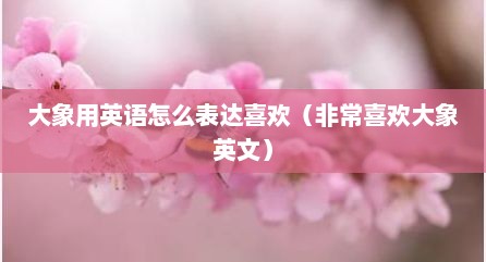 大象用英语怎么表达喜欢（非常喜欢大象英文）