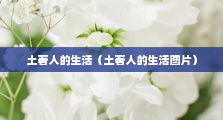 土著人的生活（土著人的生活图片）