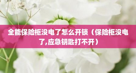 全能保险柜没电了怎么开锁（保险柜没电了,应急钥匙打不开）