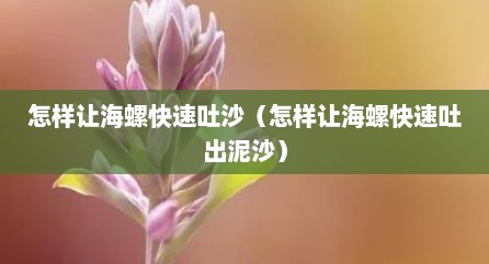 怎样让海螺快速吐沙（怎样让海螺快速吐出泥沙）