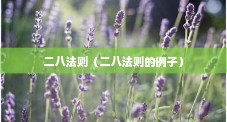 二八法则（二八法则的例子）