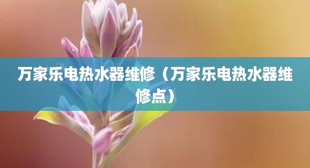 万家乐电热水器维修（万家乐电热水器维修点）