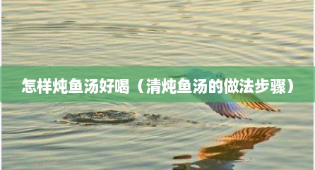 怎样炖鱼汤好喝（清炖鱼汤的做法步骤）