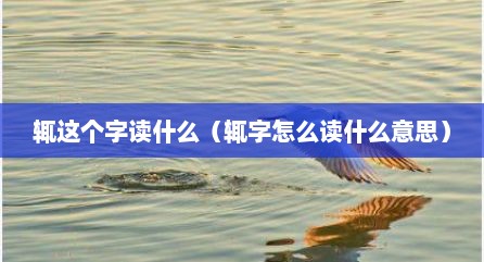 辄这个字读什么（辄字怎么读什么意思）