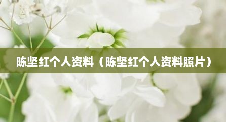 陈坚红个人资料（陈坚红个人资料照片）