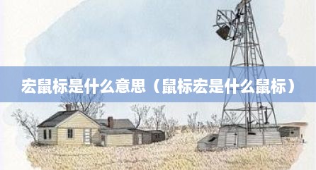 宏鼠标是什么意思（鼠标宏是什么鼠标）