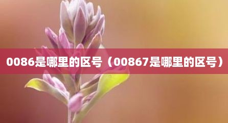 0086是哪里的区号（00867是哪里的区号）
