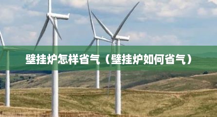 壁挂炉怎样省气（壁挂炉如何省气）