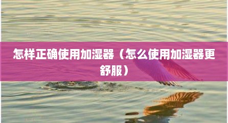 怎样正确使用加湿器（怎么使用加湿器更舒服）