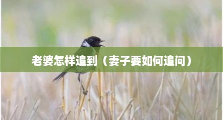 老婆怎样追到（妻子要如何追问）