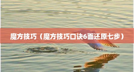 魔方技巧（魔方技巧口诀6面还原七步）