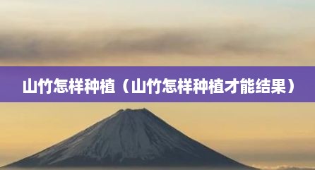 山竹怎样种植（山竹怎样种植才能结果）