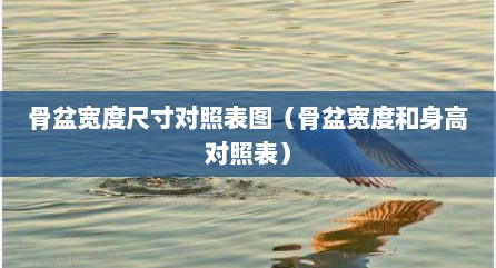 骨盆宽度尺寸对照表图（骨盆宽度和身高对照表）