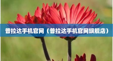 普拉达手机官网（普拉达手机官网旗舰店）