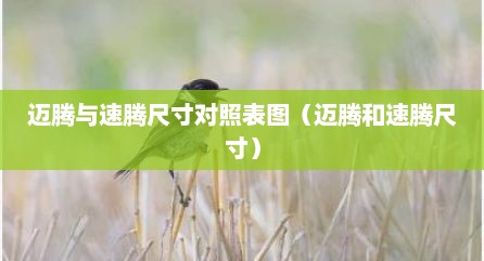 迈腾与速腾尺寸对照表图（迈腾和速腾尺寸）