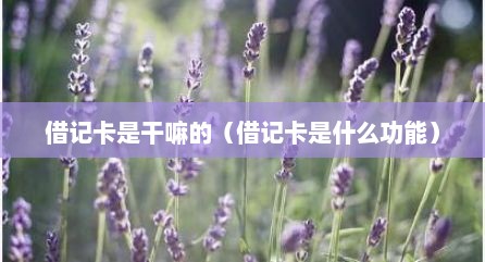 借记卡是干嘛的（借记卡是什么功能）