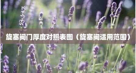 旋塞阀门厚度对照表图（旋塞阀适用范围）
