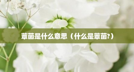 蕈菌是什么意思（什么是蕈菌?）