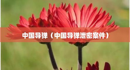 中国导弹（中国导弹泄密案件）