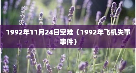 1992年11月24日空难（1992年飞机失事事件）
