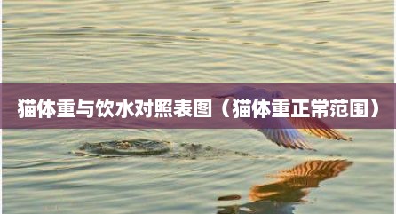 猫体重与饮水对照表图（猫体重正常范围）