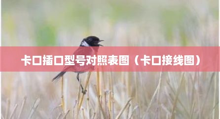卡口插口型号对照表图（卡口接线图）