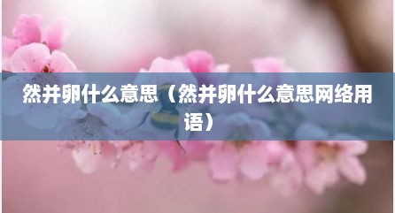 然并卵什么意思（然并卵什么意思网络用语）