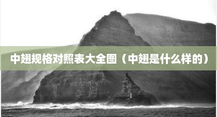中翅规格对照表大全图（中翅是什么样的）