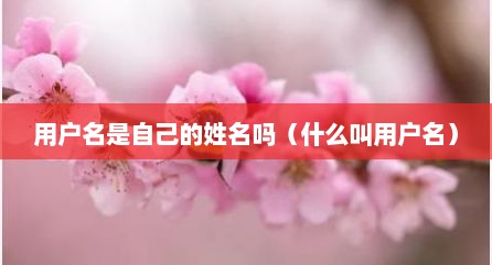 用户名是自己的姓名吗（什么叫用户名）