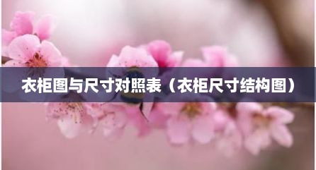 衣柜图与尺寸对照表（衣柜尺寸结构图）