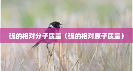 硫的相对分子质量（硫的相对原子质量）