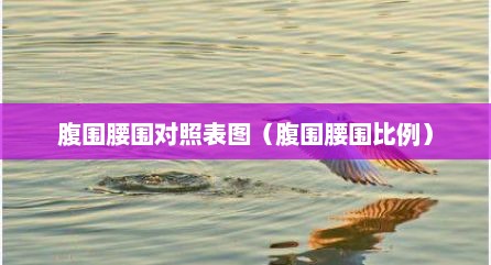 腹围腰围对照表图（腹围腰围比例）