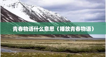 青春物语什么意思（播放青春物语）