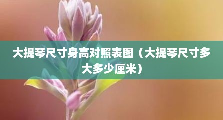 大提琴尺寸身高对照表图（大提琴尺寸多大多少厘米）