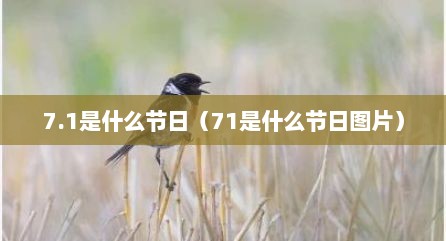 7.1是什么节日（71是什么节日图片）