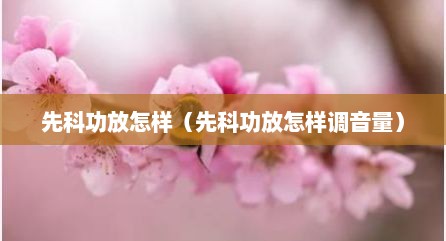 先科功放怎样（先科功放怎样调音量）