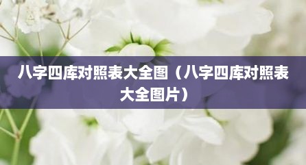 八字四库对照表大全图（八字四库对照表大全图片）