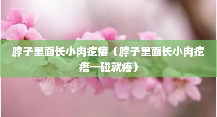 脖子里面长小肉疙瘩（脖子里面长小肉疙瘩一碰就疼）