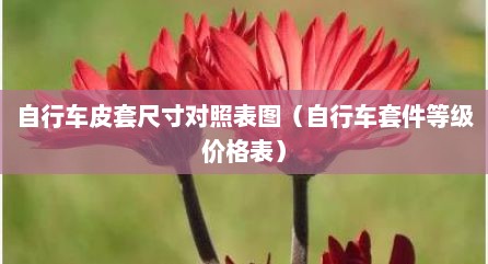 自行车皮套尺寸对照表图（自行车套件等级价格表）
