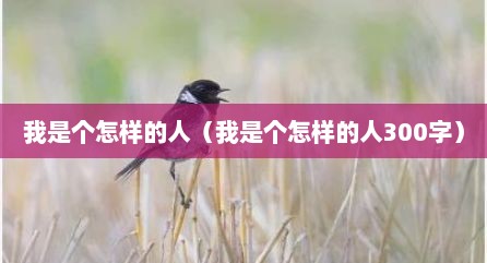 我是个怎样的人（我是个怎样的人300字）